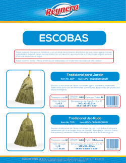 ESCOBAS - reynera