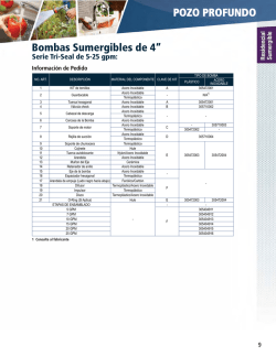 Bombas Sumergibles de 4&rdquo; POZO PROFUNDO