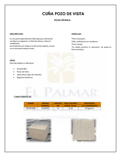 CU&Ntilde;A POZO DE VISITA - Bloquera El Palmar