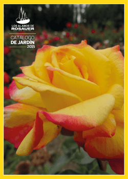 Descargar Cat&aacute;logo PDF - Los &Aacute;lamos de ROSAUER