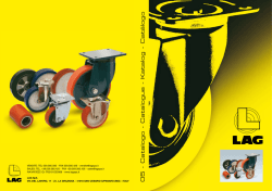 Descargar PDF - Ruedas J. Fort