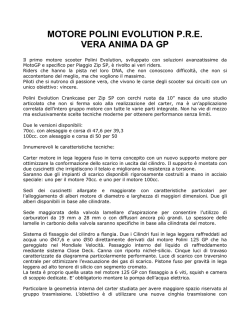 MOTORE POLINI EVOLUTION P.R.E. VERA ANIMA DA GP