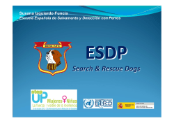 Search & Rescue Dogs