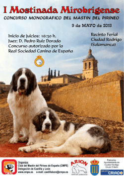 most&iacute;n del a&ntilde;o 2014 - Club del Mastin del Pirineo de Espa&ntilde;a (CMPE)