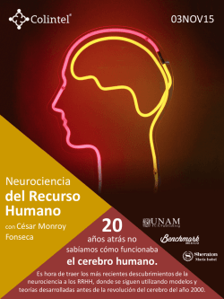 Neurociencia del Recurso Humano