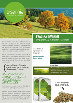 Bisannia_Pradera_Invierno