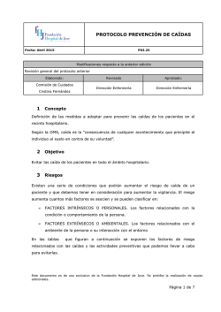 Protocolo prevenci&oacute;n ca&iacute;das