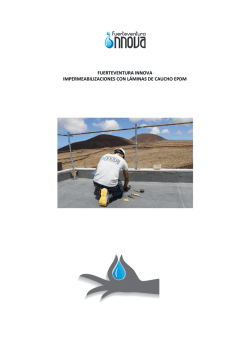 Fuerteventura Innova SL (Impermeabilizac[...]