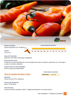 FICHA T&Eacute;CNICA AJ&Iacute; AMARILLO-ESCABECHE