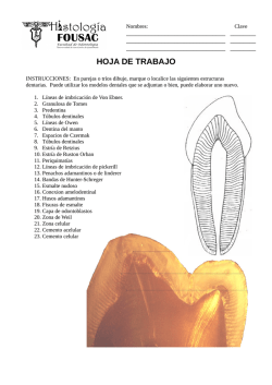 Descarga aqu&iacute; la hoja de trabajo.