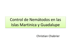 El control de los nematodos. El caso de las Islas Martinica