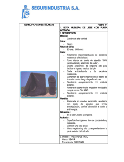 ESPECIFICACIONES T&Eacute;CNICAS Pagina 1/1 1. BOTA MUSLERA