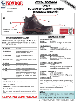 F T 700309 Julio 2015