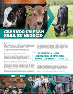 CREANDO UN PLAN PARA SU NEGOCIO