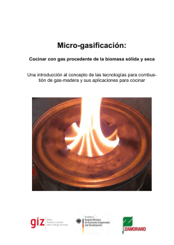 Micro-gasificaci&oacute;n