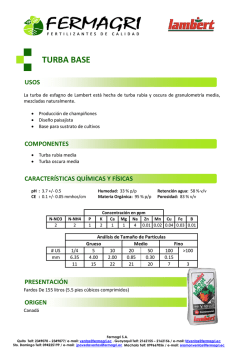 TURBA BASE
