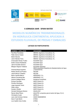 modelos num&eacute;ricos tridimensionales en hidr&aacute;ulica