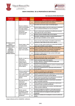 1. Mapa funcional de la profesi&oacute;n de Obstetricia