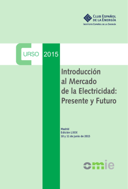 Introducci&oacute;n al Mercado de la Electricidad: Presente y Futuro