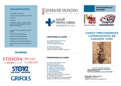 CURSO PRECONGRESO LAPAROSCOPIA EN CADAVER THIEL