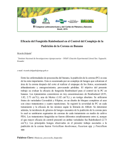 Eficacia del Fungicida Rainbodazol en el Control del Complejo de