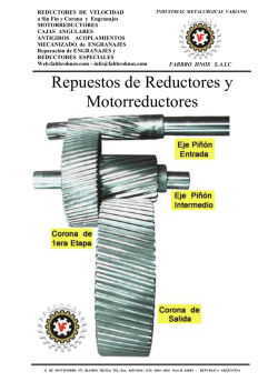 Repuestos de Reductores y Motorreductores
