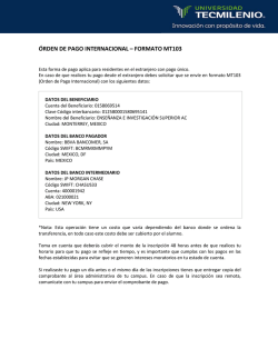 &Oacute;RDEN DE PAGO INTERNACIONAL &ndash; FORMATO MT103