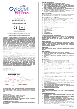 Williams-Beuren Probe