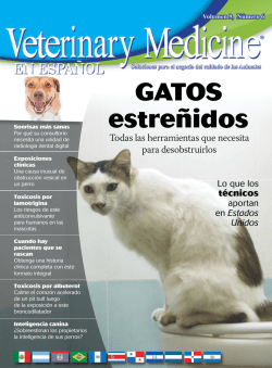 GATOS estre&ntilde;idos
