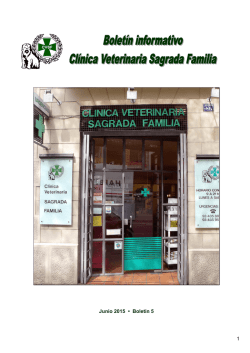 Bolet&iacute;n informativo CVSF - Cl&iacute;nica Veterinaria Sagrada Familia