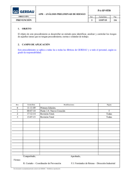 An&aacute;lisis preliminar del riesgo