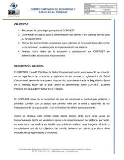 COMIT&Eacute; PARITAR&Iacute;O DE SEGURIDAD Y SALUD EN EL TRABAJO