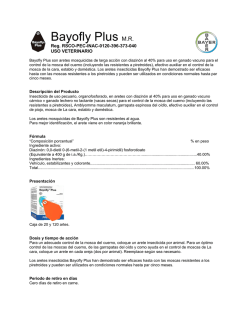 Bayofly Plus M.R.