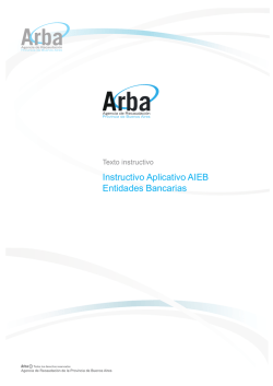 Instructivo Aplicativo IBMensual