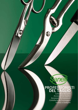 PROFESSIONISTI DEL TAGLIO
