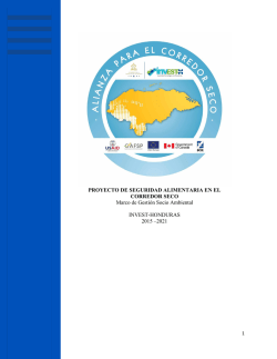 Marco de Gesti&oacute;n Ambiental y Social Revisi&oacute;n Julio 2015