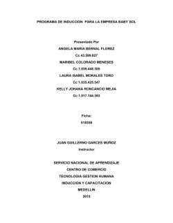 PROGRAMA DE INDUCCION PARA LA EMPRESA BABY`SOL