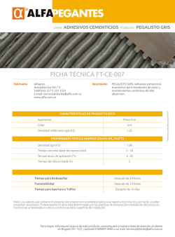 07 ficha t&eacute;cnica PEGALISTO GRIS 2015 V5