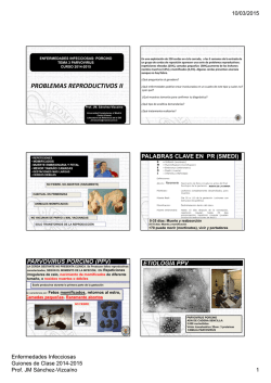 PROBLEMAS REPRODUCTIVOS II