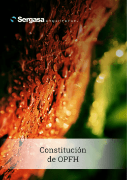 Constituci&oacute;n de OPFH