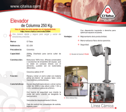 elevador de columna 250kg derecho ci talsa [09401019].cdr