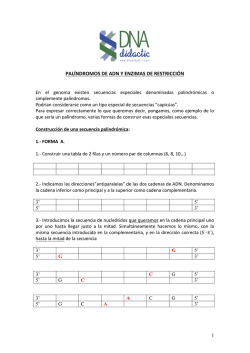 PAL&Iacute;NDROMOS DE ADN Y ENZIMAS DE RESTRICCI&Oacute;N