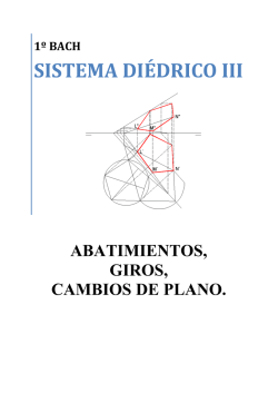 SISTEMA DI&Eacute;DRICO - thiar