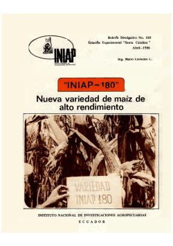 "INIAP-1 80" Nueva variedad de ma&iacute;z de alto rendimiento