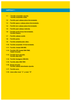 CAPITULO 1 : 1.1 - Tornillo ensamble c/punta