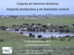 Cojeras en Bovinos Lecheros