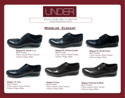 Descargar Cat&aacute;logo en PDF