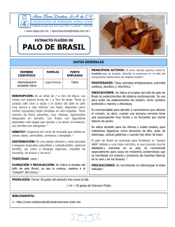 PALO DE BRASIL