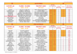 Ranking Copa ANCCE Menores