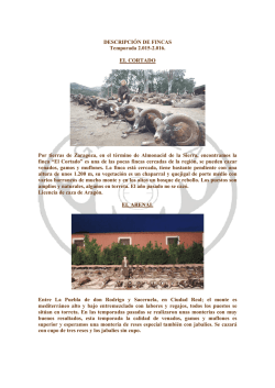 DESCRIPCI&Oacute;N DE FINCAS 15-16